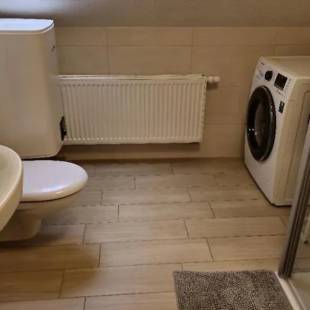 Erz Mitten Im Erzgebirge *